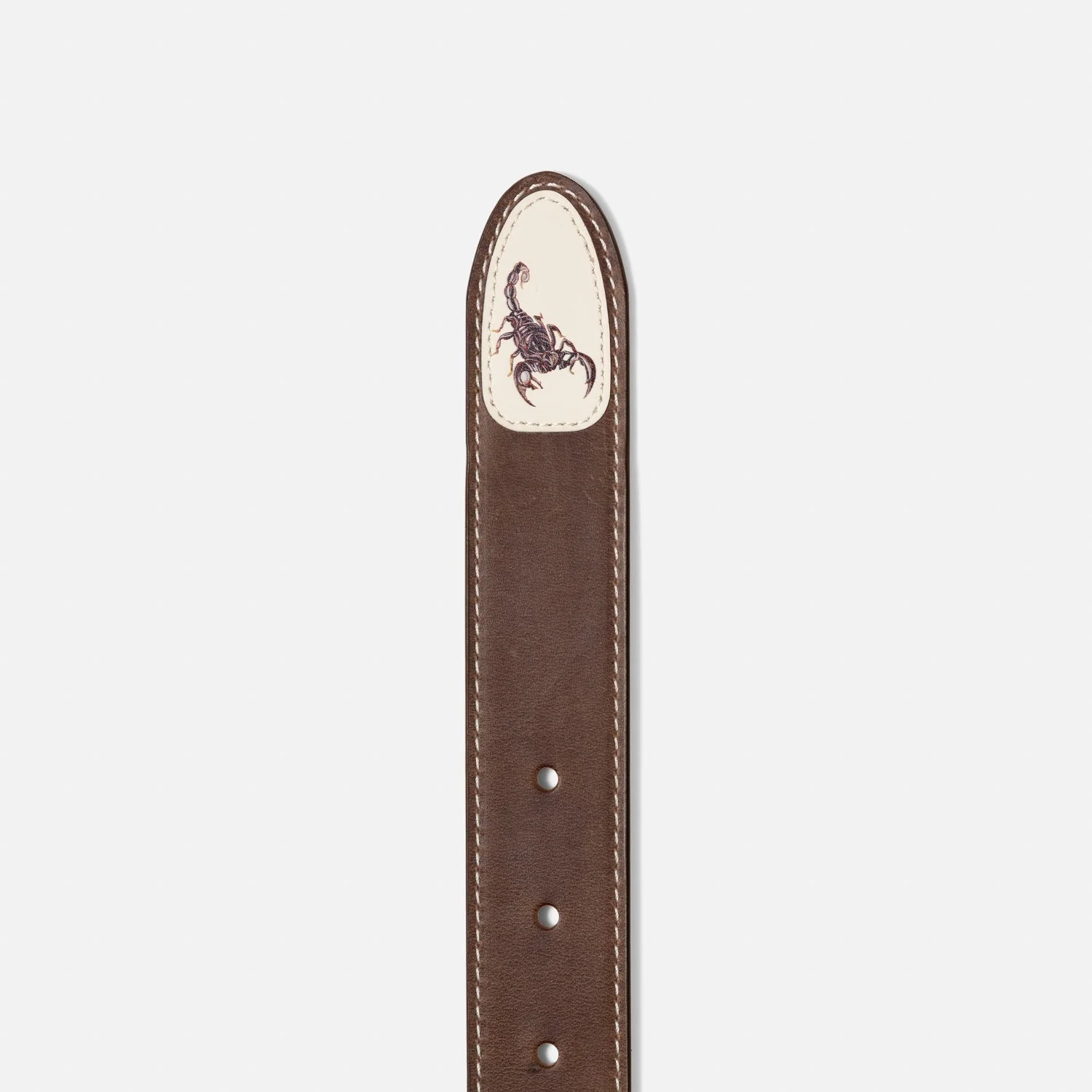 Ellis Chestnut Scorpion Belt - Image 5